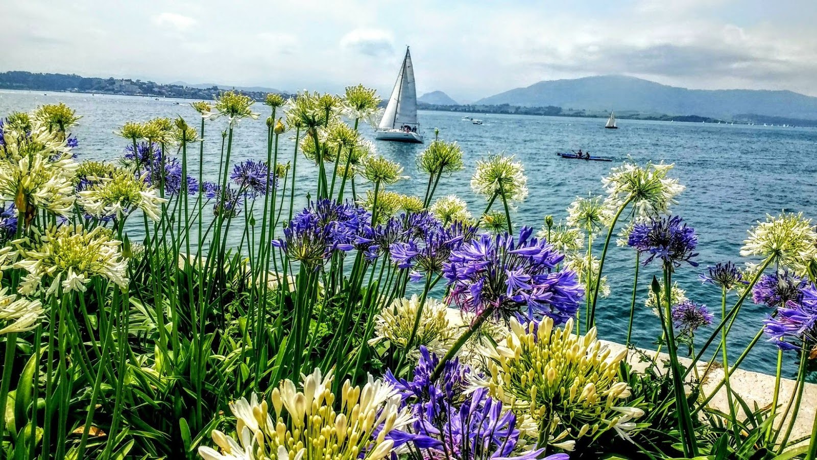 The Science Behind ‘Slow Flowers’: Why Locally Grown Blooms Are Taking Over Weddings